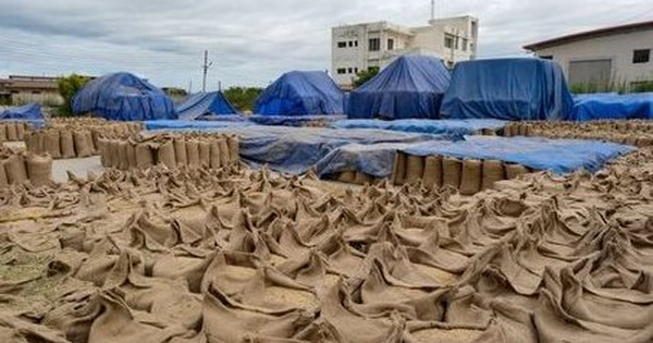 Giá lúa mì quốc tế tăng mạnh, tiến gần mức cao nhất hai năm do căng thẳng địa chính trị