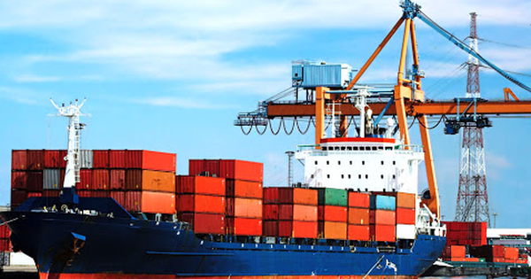 Xuất khẩu cà phê Việt Nam tháng 1/2026 tăng mạnh, châu Âu vẫn là thị trường chủ lực