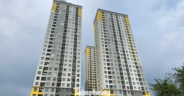 HoREA phản đối trần lợi nhuận 15% cho nhà giá phù hợp, đề xuất giải pháp tín dụng