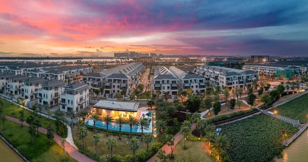 Cổ Phiếu Novaland Tăng Trần, Thanh Khoản Cao Trước Thông Tin Thành Lập Thành Phố Đồng Nai
