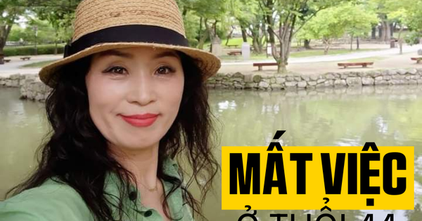 Mất Việc Ở Tuổi 44: Từ Hoảng Loạn Đến Bước Ngoặt Tài Chính Và Nghề Nghiệp