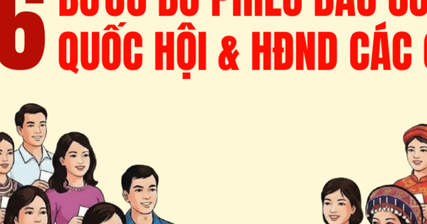 Hướng Dẫn Chi Tiết Quy Trình Bỏ Phiếu Bầu Cử Đại Biểu Quốc Hội Và HĐND Năm 2026