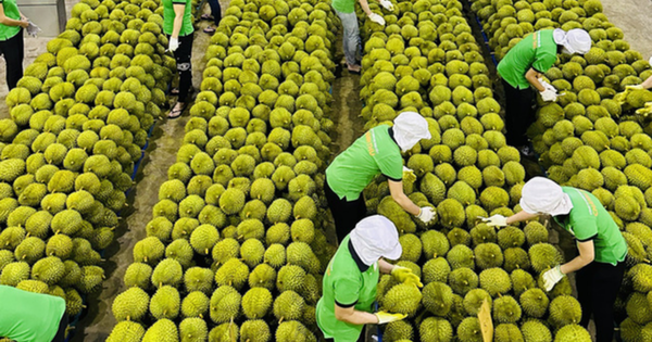 Xung Đột Trung Đông: Thách Thức Vận Chuyển, Cơ Hội Xuất Khẩu Cho Doanh Nghiệp Việt