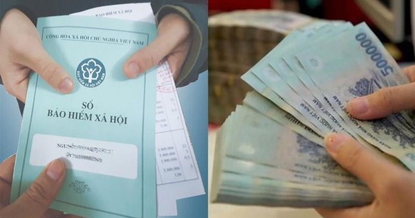 Quy Định Mới Về Tính Lương Hưu BHXH 2024: Lao Động Nữ Và Nam Có Sự Khác Biệt