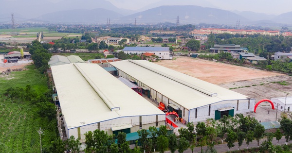 Minh Bạch Trở Thành Tiêu Chuẩn Vàng Trong Thị Trường Thương Mại Điện Tử