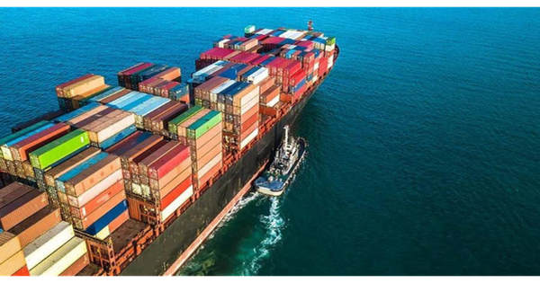 Xuất khẩu hạt tiêu Việt Nam tháng 2 sụt giảm, nhưng cả năm 2026 vẫn lạc quan