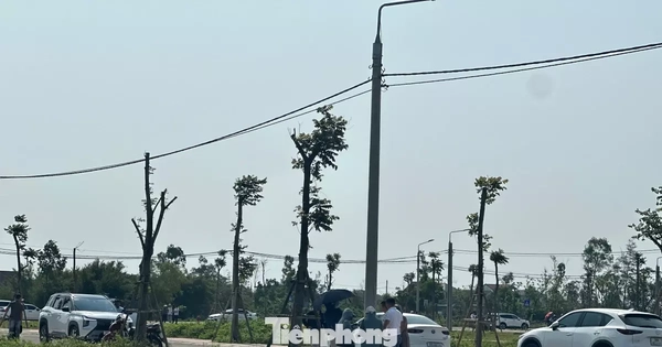 Cơn sốt đất bất thường ở Hà Tĩnh: Ô tô đậu kín đường, giá đất tăng vọt