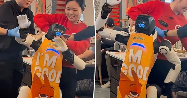 Robot nhảy múa trong nhà hàng Mỹ mất kiểm soát, gây hỗn loạn và tranh cãi an toàn