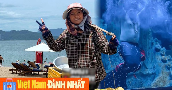 Nha Trang 2026: Sức Hút Từ Cảnh Đẹp Và Những 'Đại Sứ Du Lịch' Đặc Biệt
