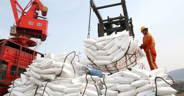 Xung đột Eo biển Hormuz đe dọa chuỗi cung phân bón toàn cầu, Trung Quốc nổi lên như 'OPEC mới'