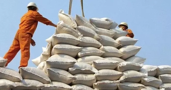 Xuất khẩu gạo Việt đối mặt thị trường 'mua chậm, chờ giá', kim ngạch sụt giảm
