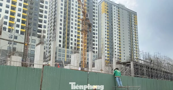 Lợi nhuận căn hộ vượt trội so với nhà phố sau một thập kỷ biến động
