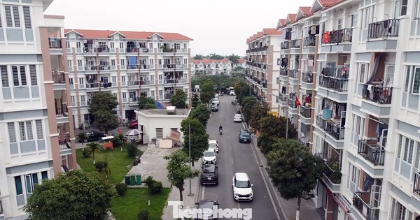 Hải Phòng: Loạt dự án nhà ở xã hội vi phạm nghiêm trọng, thanh tra chỉ ra hàng loạt sai phạm