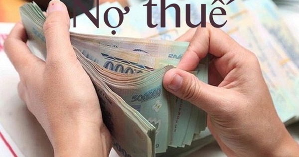 TPHCM công khai danh sách doanh nghiệp nợ thuế hơn 12.412 tỉ đồng, có cả nợ vài đồng