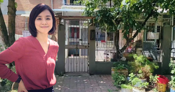 Trải Nghiệm Sống Ở Căn Hộ Cũ Tầng 1: Bài Toán Đánh Đổi Giữa Tiện Ích Và Hạn Chế