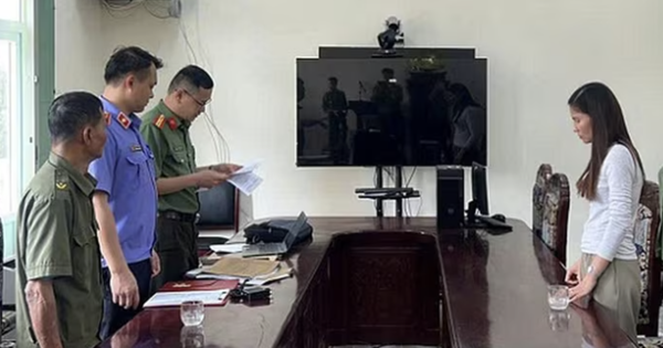 Cao Bằng khởi tố, bắt tạm giam đại diện công ty phát hành hóa đơn khống xuất khẩu