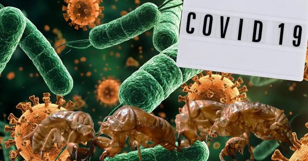 Biến Thể Covid-19 'Ve Sầu' BA.3.2: Nguy Cơ Lây Lan Cao Và Cảnh Báo Từ Giới Khoa Học