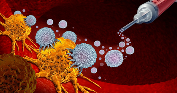 Nghiên cứu đột phá: Lysosome - 'kho chứa' thuốc ẩn giấu trong điều trị ung thư buồng trứng
