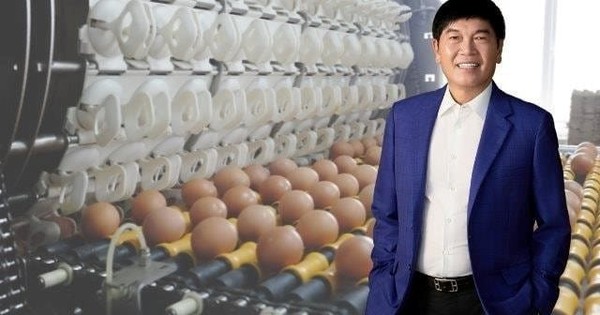 Nông nghiệp Hòa Phát công bố kế hoạch kinh doanh 2026: Doanh thu 7.200 tỷ, lợi nhuận giảm mạnh