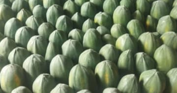 Loại quả "tốt nhất thế giới", ở Việt Nam hễ ra chợ là thấy