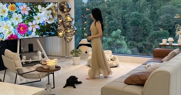 6 Rắc Rối Thực Tế Của Phòng Khách Rộng Mà Môi Giới Không Nói Trước