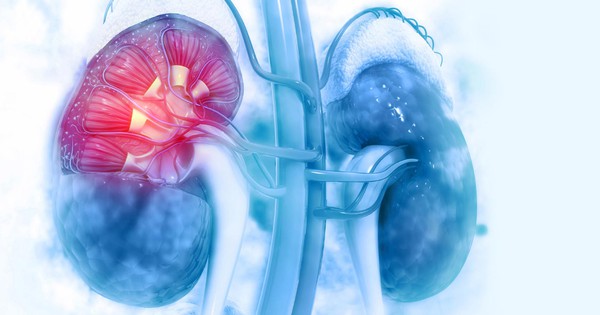 5 Thói Quen Hàng Ngày Đang Âm Thầm Hủy Hoại Thận Của Bạn