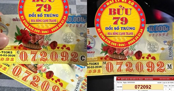 Xổ số miền Nam: Giải độc đắc Cà Mau và TP.HCM tìm thấy chủ nhân tại Tây Ninh, Đồng Nai