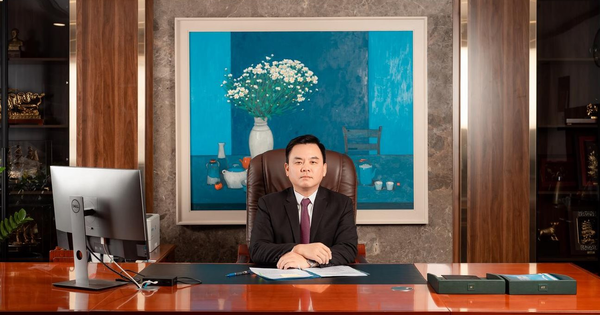 Lương Lãnh Đạo Đạm Phú Mỹ Tăng Mạnh, Lợi Nhuận Sau Thuế Tăng Gần Gấp Đôi