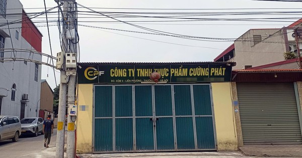 Hà Nội triệt phá đường dây giết mổ lợn dịch tả châu Phi, cung cấp cho trường học