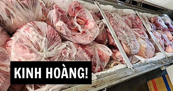 Thịt lợn bệnh vào trường học: Bát cơm trưa và bài học đạo đức bị vấy bẩn