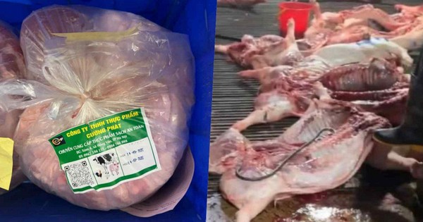 Hà Nội Yêu Cầu Hơn 2.900 Trường Rà Soát Nguồn Thực Phẩm Sau Vụ Lợn Dịch