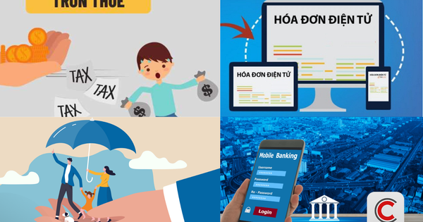 Cảnh báo từ Thuế cơ sở 6 Khánh Hòa: Hộ kinh doanh cần tránh các lỗi thuế phổ biến