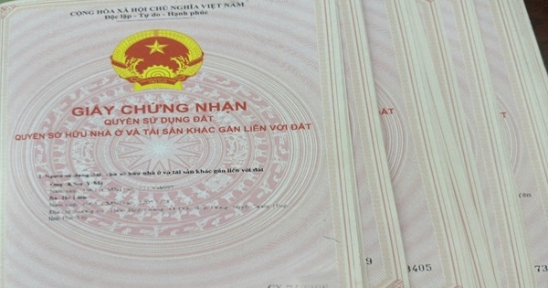 Cảnh báo lừa đảo 'sổ đỏ' tại Đắk Lắk: Nhiều vụ việc phức tạp và khó thu hồi tài sản