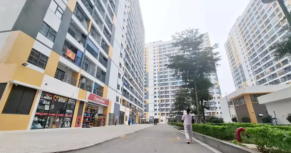 Bắc Ninh siết chặt quản lý, rà soát toàn diện hồ sơ nhà ở xã hội