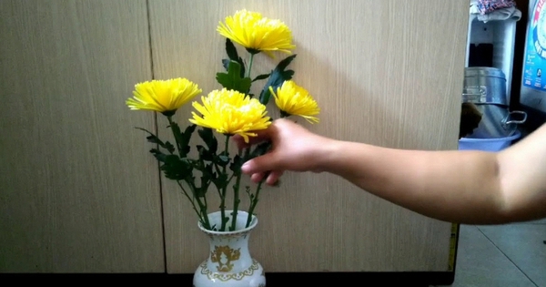 Cảnh báo thói quen để hoa cúc héo trên bàn thờ: Sai lầm phổ biến cần tránh