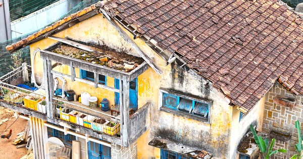 Thanh Tra Lâm Đồng Phát Hiện Lãng Phí 5 Cơ Sở Nhà Đất Đắc Địa Bị Bỏ Hoang