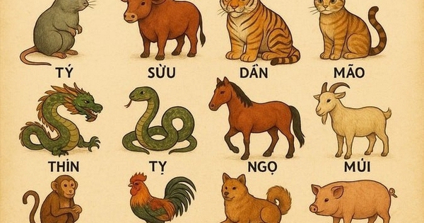 Tử Vi 2026: Tuổi Thìn, Mùi, Hợi Đón Lộc Lớn Từ Cát Tinh Thái Dương