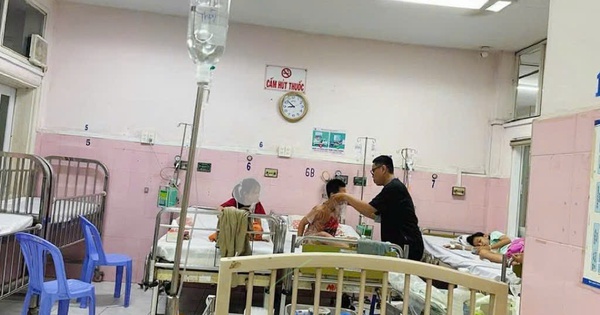 184 học sinh nghi ngộ độc thực phẩm tại TP.HCM, 7/10 mẫu dương tính Salmonella