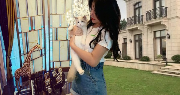 Dư Vãn Vãn: 'Ngậm thìa kim cương' với biệt thự 2.194m2 và đời tư bí ẩn