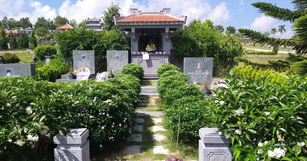 5 Loại Cây Kiêng Kỵ Trồng Trước Mộ Theo Quan Niệm Dân Gian Và Phong Thủy