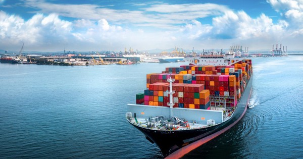 Xuất khẩu thanh long Việt Nam phục hồi mạnh, mở rộng thị trường mới năm 2026
