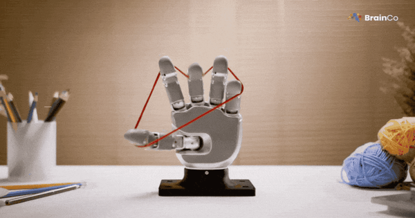 Bàn Tay Robot Revo 3 Của BrainCo: Khéo Léo Vượt Trội, Mở Ra Kỷ Nguyên Mới Cho Trí Tuệ Hiện Thân