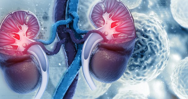 9 Loại Thực Phẩm Quen Thuộc Có Thể Gây Hại Cho Thận Nếu Tiêu Thụ Quá Nhiều