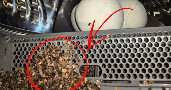 Cảnh báo: 8 vật dụng tuyệt đối không cho vào máy giặt để tránh hỏng hóc