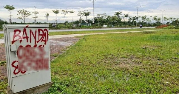 Thị Trường Đất Nền Quý 1/2026: Giá Đi Ngang, Thanh Khoản Giảm Và Sự Phân Hóa Rõ Rệt