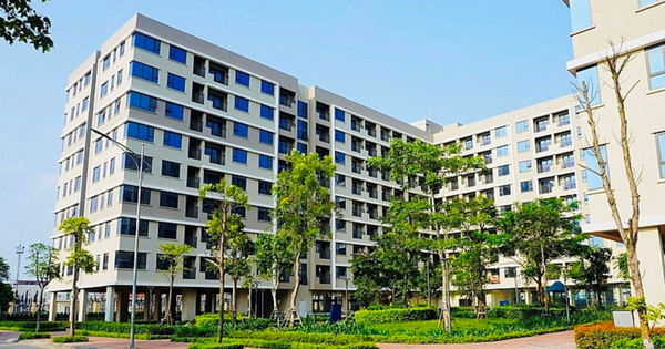 Lừa đảo nhà ở xã hội: Chiêu trò 'suất nội bộ' gây thiệt hại hàng tỷ đồng