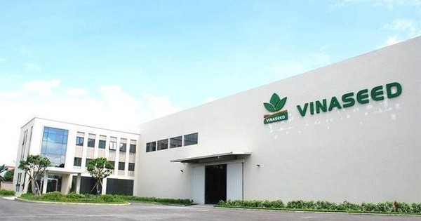 Vinaseed Đổi Mới Quản Trị, GS. Trần Đình Long Đề Xuất Phát Triển Cây Họ Đậu