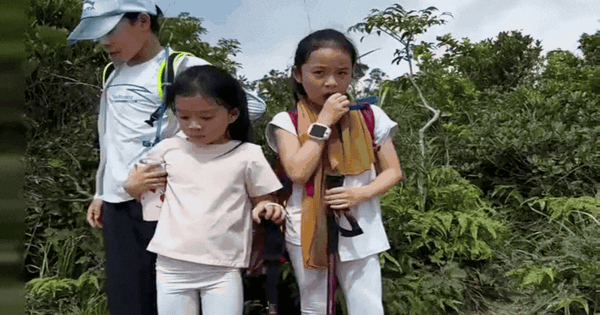 Quách Tinh Tinh - Hoắc Khải Cương: Dạy con từ những bước chân leo núi, bài học từ thiên nhiên
