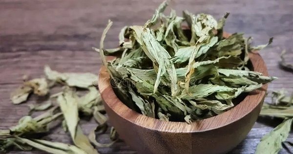Cỏ Ngọt: Chất Tạo Ngọt Tự Nhiên Với Nhiều Lợi Ích Sức Khỏe Đáng Chú Ý