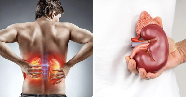 Cảnh báo: 5 thói quen phổ biến âm thầm hủy hoại thận, nhiều người vẫn làm mỗi ngày